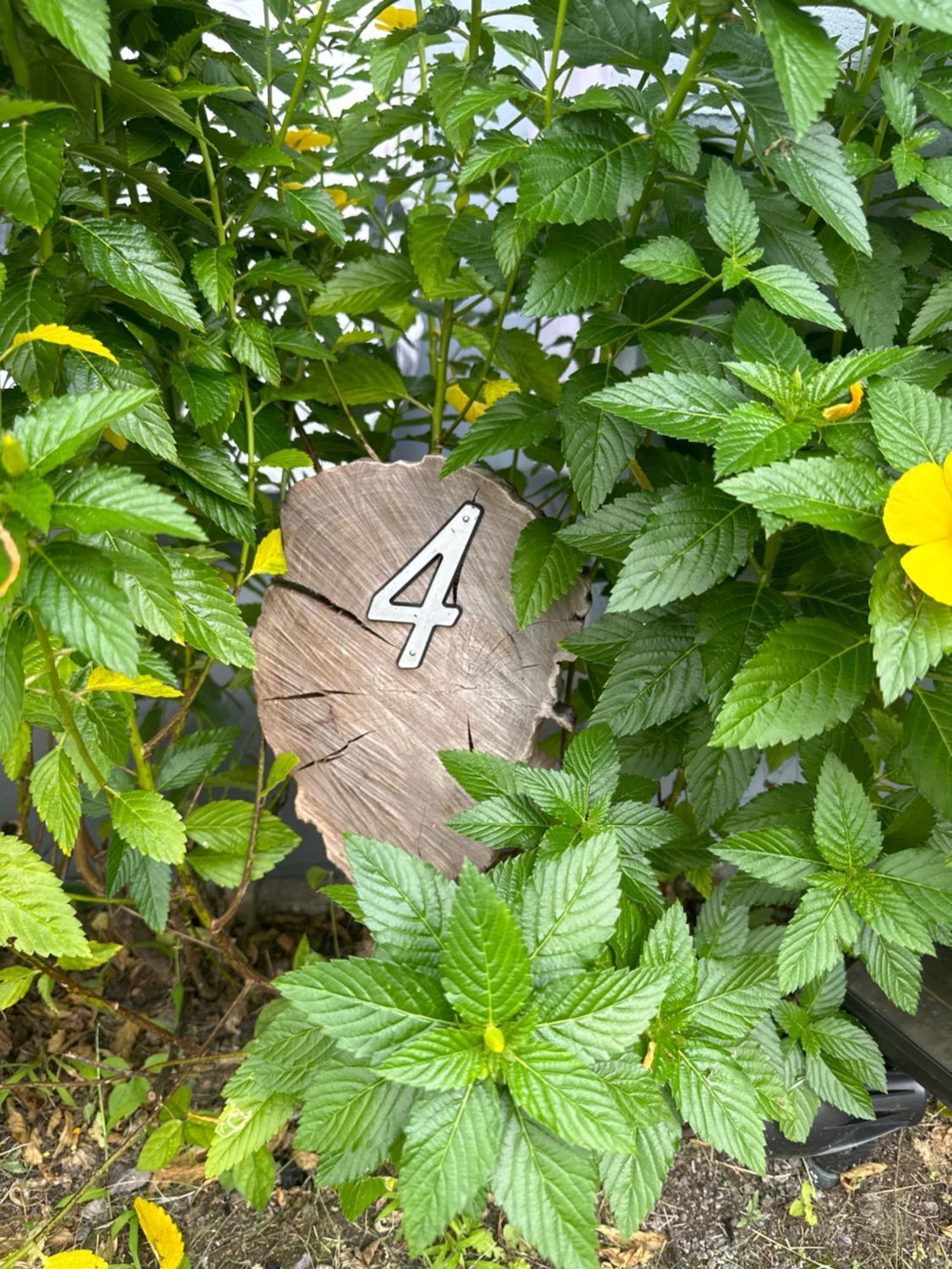Hawaiian Ohana Home Χίλο Εξωτερικό φωτογραφία