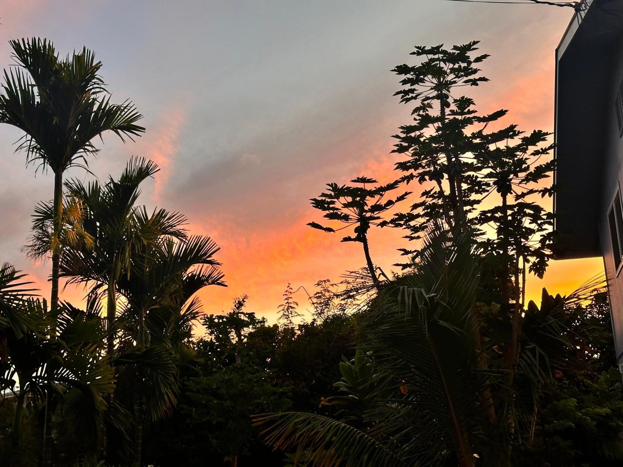 Hawaiian Ohana Home Χίλο Εξωτερικό φωτογραφία
